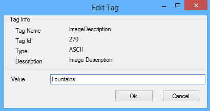 Photo EXIF Manager - Edit Dialog