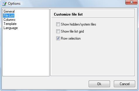 File List Options.