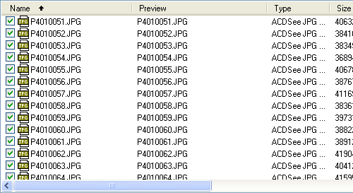 filtered files list