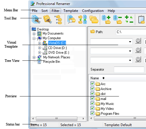 Professional Renamer interface.