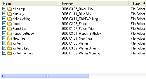 Preview panel shows