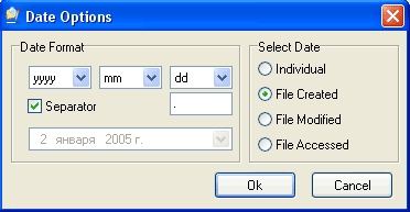 set the date options