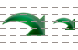 forwards-green